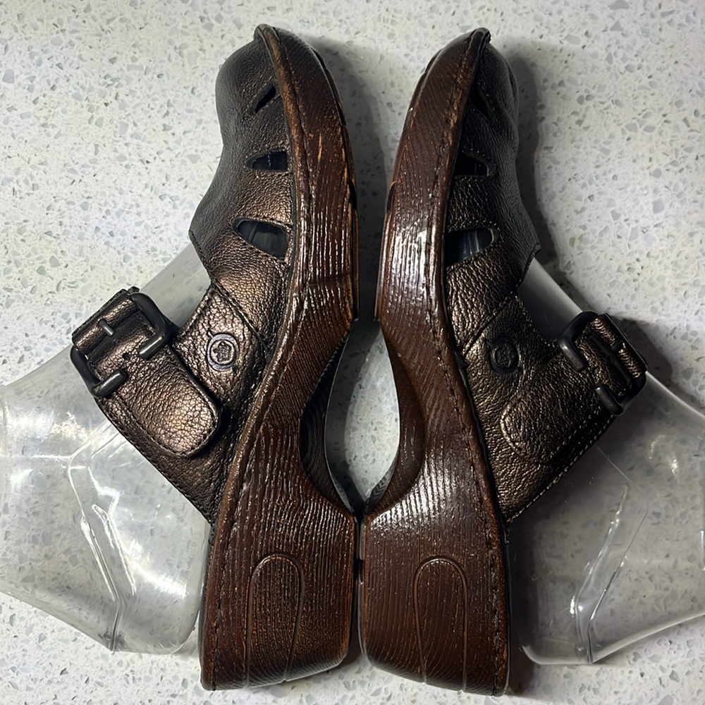 🍄🍄 Born Mules  🍄🍄 - Picture 4 of 6